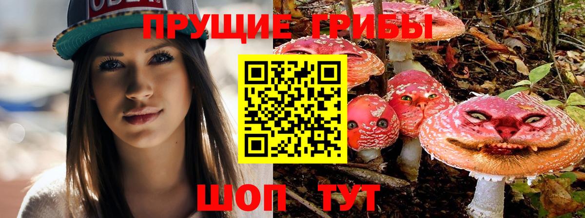 Чапаевск  купить наркотик  Вход с VPN  Галлюциногенные грибы мицелий 