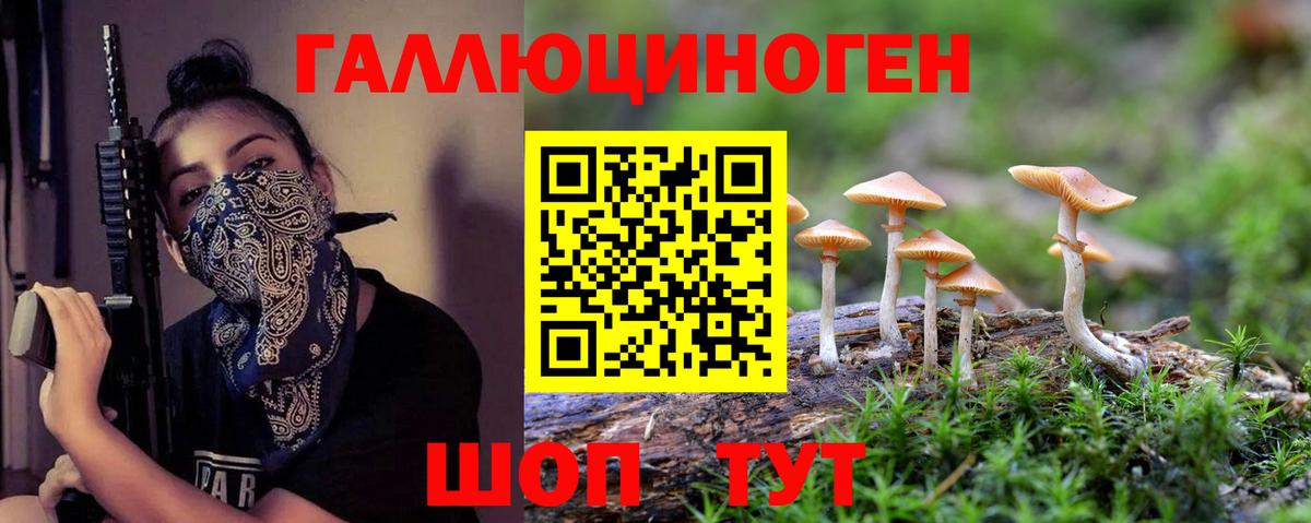 Псилоцибиновые грибы мухоморы Чапаевск